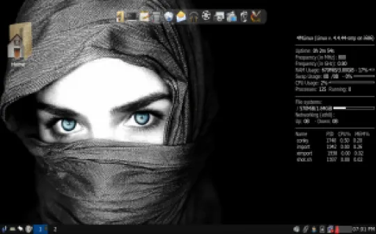4mlinux-21.0-desktop