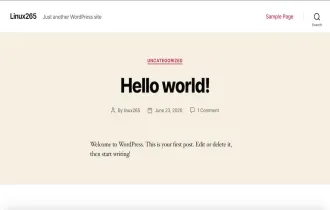 如何在 Debian 10 上安装配置 Wordpress 博客程序