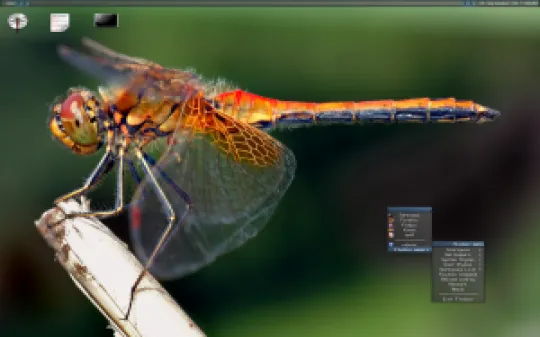 dragonflybsd-2.1-devel