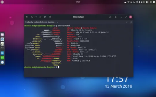ubuntu-budgie-18.04-terminal.jpg