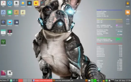 puppy-8.0.jpg