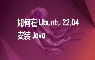 如何在 Ubuntu 22.04 上安装Java
