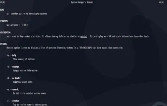 如何在 Linux 中使用ss命令监控网络连接