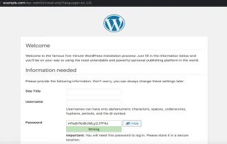 如何在 Ubuntu 20.04 上搭建 LEMP 环境运行 WordPress