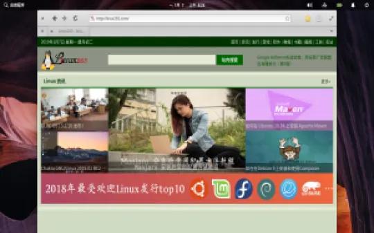 elementaryos-5.0-browser