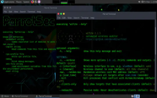 parrot-terminal.jpg