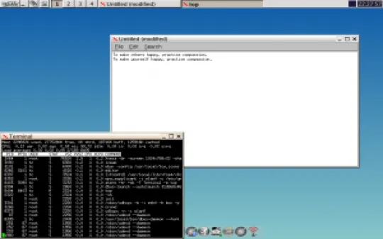 tinycore-4.2-icewm