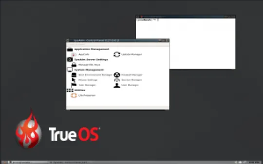 trueos-2017-02-22-control