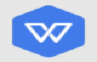 金山 WPS for Linux