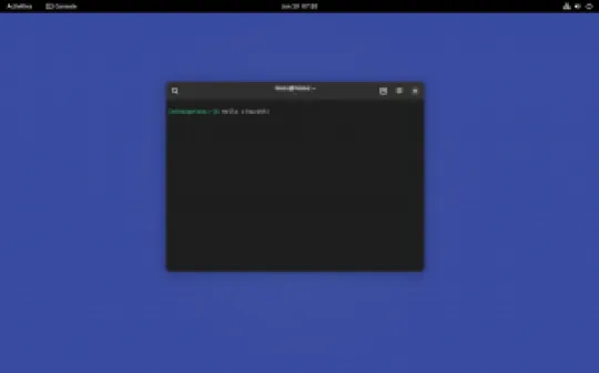 nixos-152053@2x-console