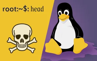 如何在Linux中使用head命令