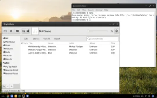endlessos-3.0.5-rhythmbox